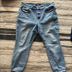 Judy blue Women's Blue Jeans